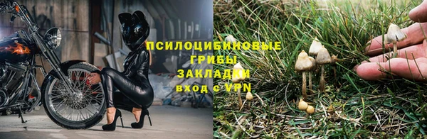прущая мука Алзамай