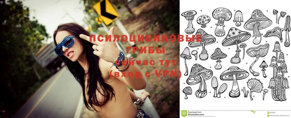 стаф Алексеевка