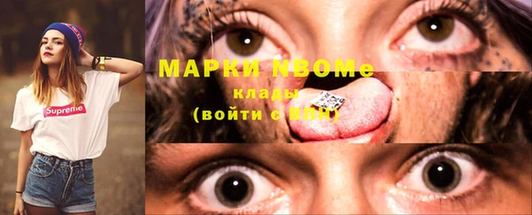 крисы Алексин